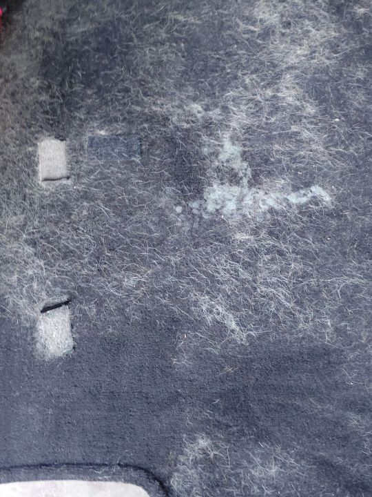 Before interior cleaning